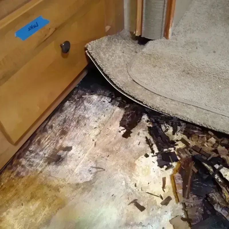 Best Wood Floor Water Damage Service in Charlevoix, MI